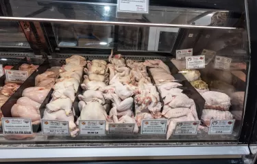 Fresh Local Poultry