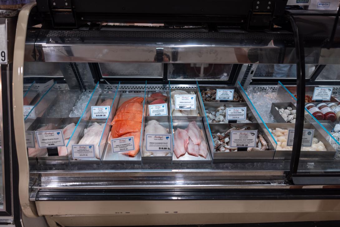 Fresh Fish Case